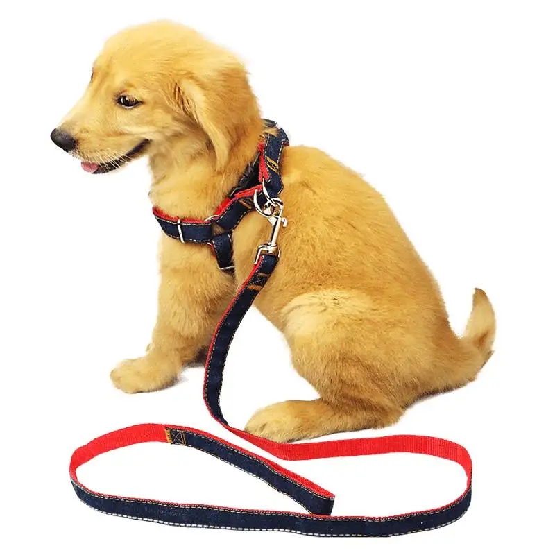 Apa Spesifikasi Jembar lan Kekandelan Paling Cocokake Ukuran Pet Beda kanggo Webbing Poliester kanggo Traksi Pet?
